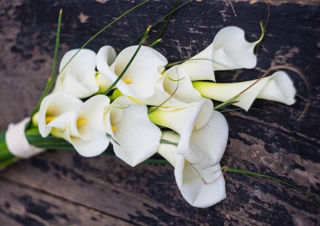 Blumen für die Hochzeit, Brautstrauß Calla