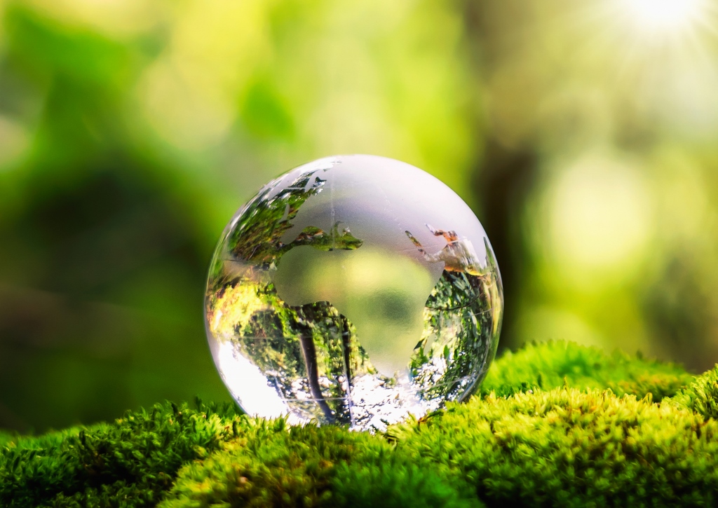 Greenwashing, Crystal Globe, Moss, Moos, Globus