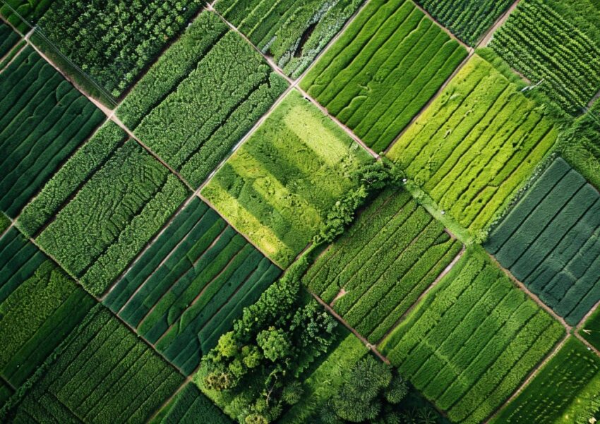 Nachhaltige Landwirtschaft