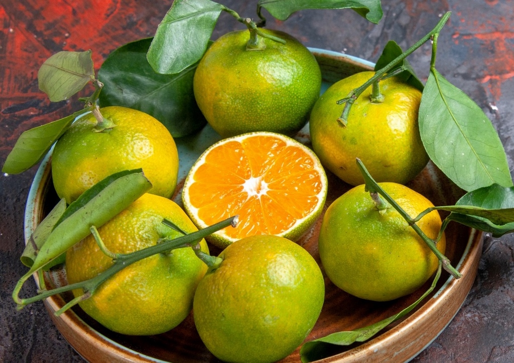 Orange, Apfelsine, Citrus sinensis