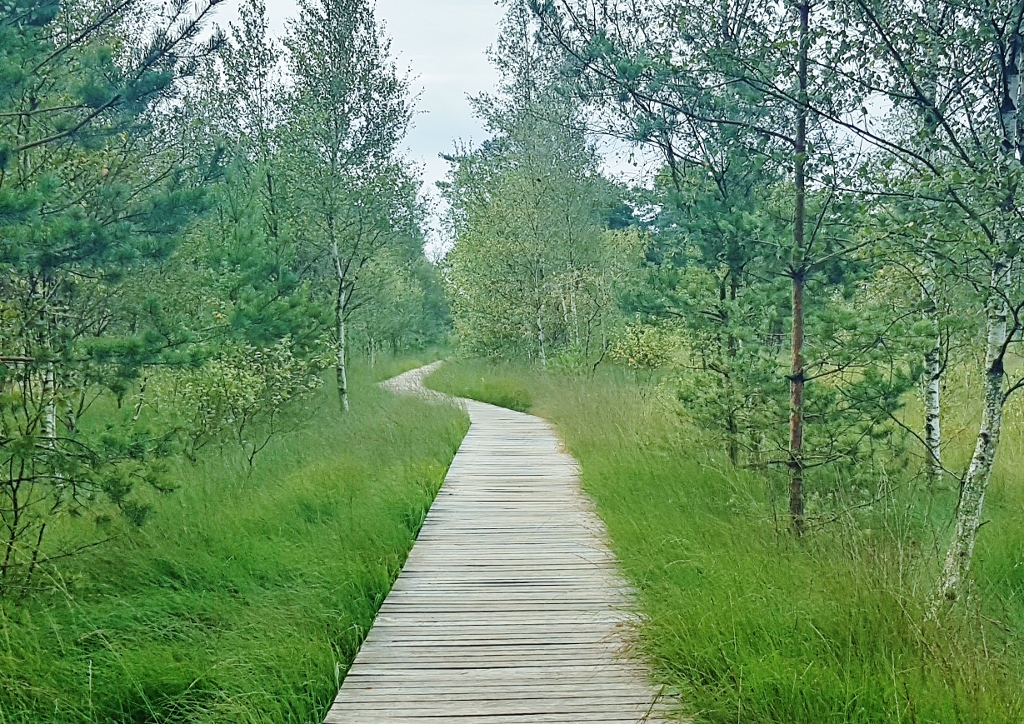 EU-Renaturierungsgesetz, Natur, Umwelt, Klima