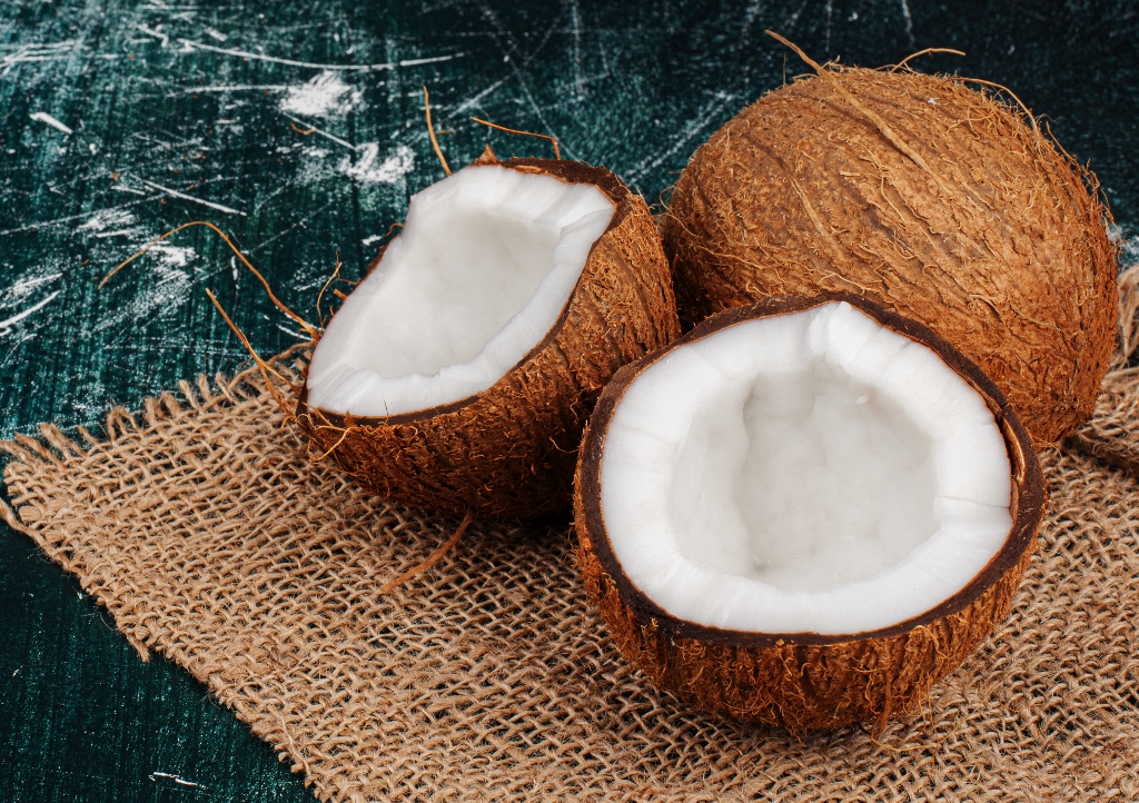 Kokosnuss, Kokospalme, Cocos nucifera